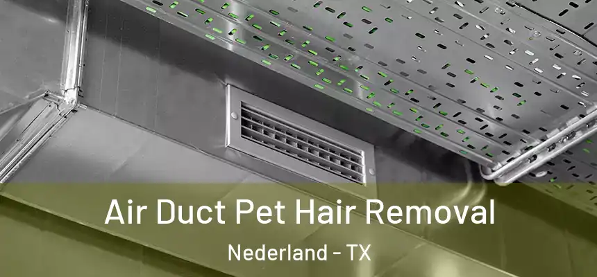  Air Duct Pet Hair Removal Nederland - TX