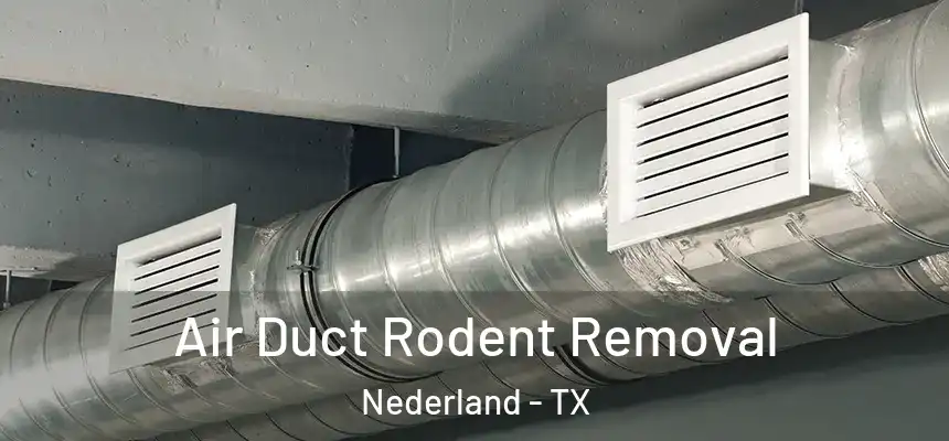  Air Duct Rodent Removal Nederland - TX