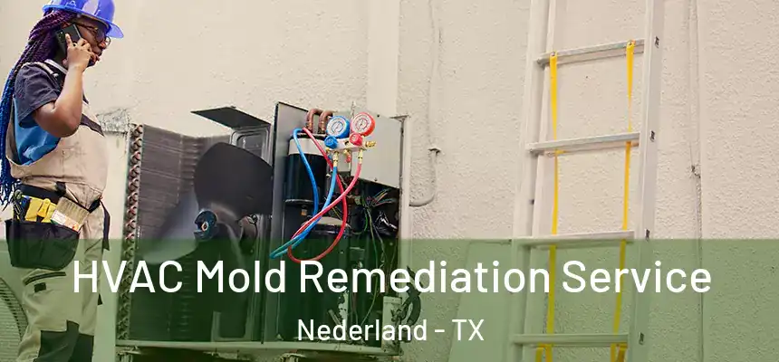  HVAC Mold Remediation Service Nederland - TX