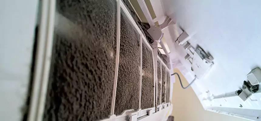 Preventive Air Duct Bacteria Removal in Nederland