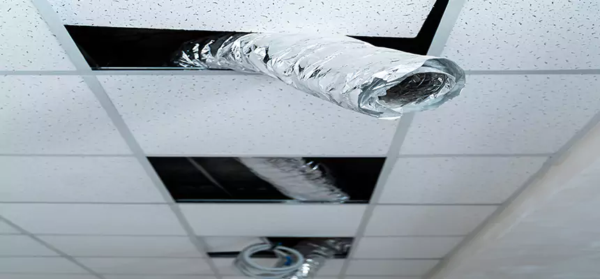 Affordable HVAC Sanitizing After Pest Removal in Nederland