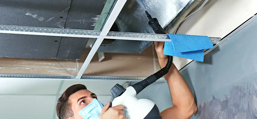 Our Air Duct Rodent Removal Services in Nederland, TX