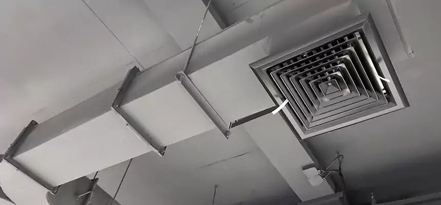 Restorative Allergy Relief Vent Cleaning – Coil, Blower & Housing Detail in Nederland