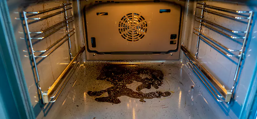 Our Dryer Vent Mold Cleaning Services in Nederland, TX