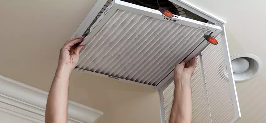 Our Insect Removal from Air Ducts Services in Nederland, TX