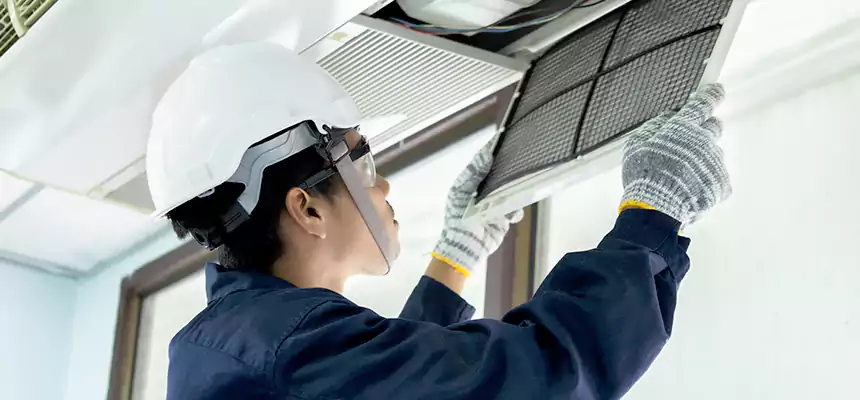 Our Mold & Mildew Removal from Air Ducts Services in Nederland, TX