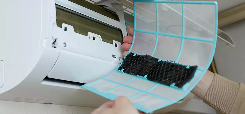 Gentle Ductwork Odor-Control Pet Dander Duct Cleaning in Nederland, TX