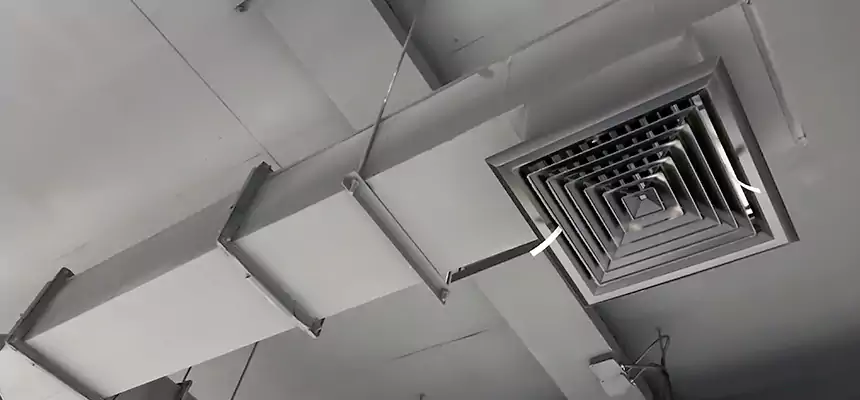 Our Rodent Droppings In Vents Services in Nederland, TX