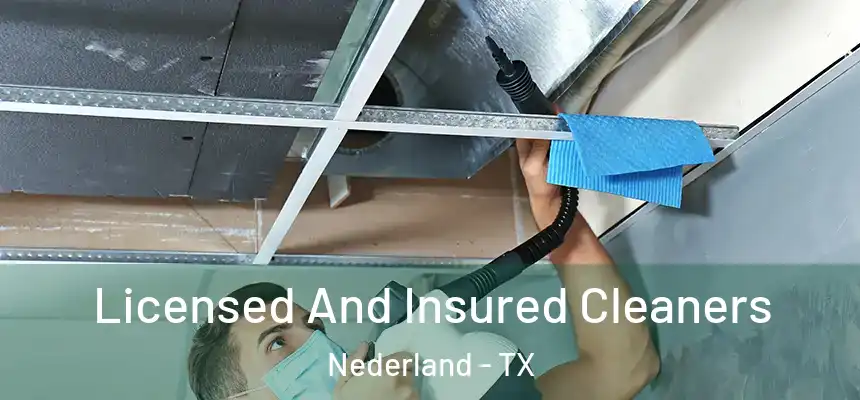  Licensed And Insured Cleaners Nederland - TX