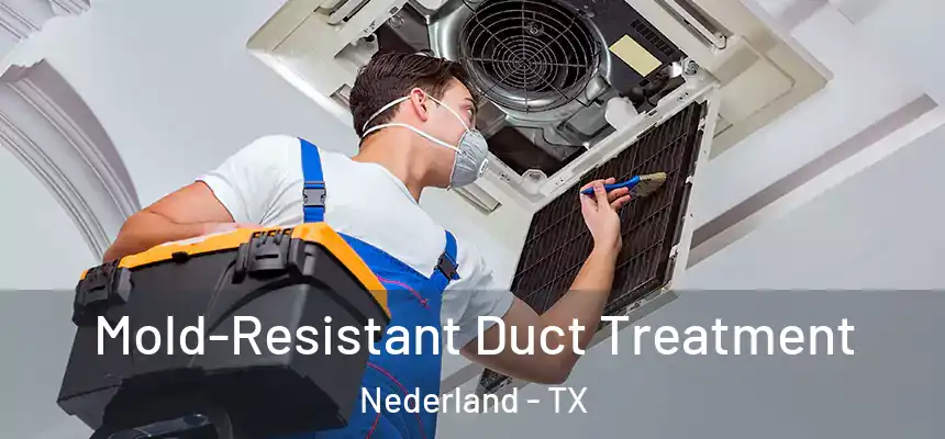 Mold-Resistant Duct Treatment Nederland - TX