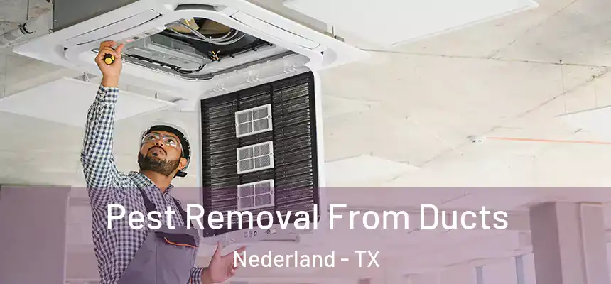  Pest Removal From Ducts Nederland - TX
