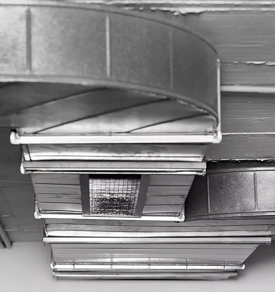 Professional Air Duct Pet Hair Removal in Nederland, TX