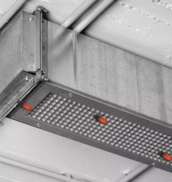 Affordable Insect Removal from Air Ducts in Nederland, TX
