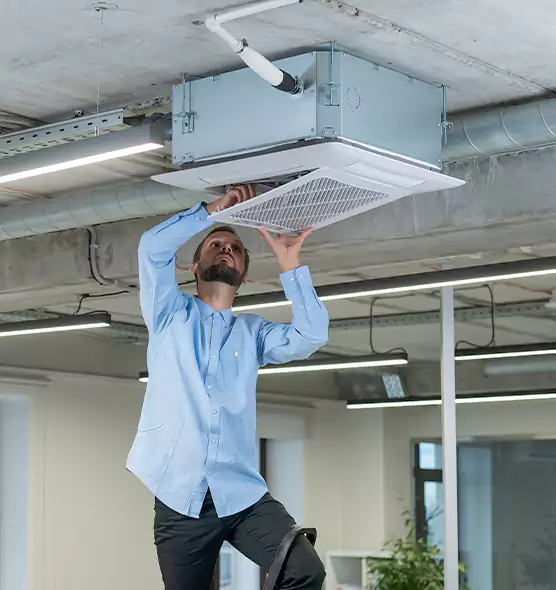 Advanced Rodent Droppings In Vents in Nederland, TX