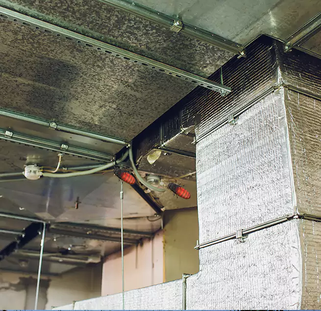 Why Homeowners & Businesses Trust Us in Nederland, TX?