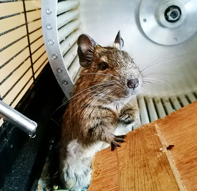 Why Homeowners & Businesses Trust Us Nederland, TX?